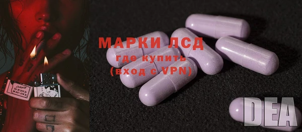 твердый Магас
