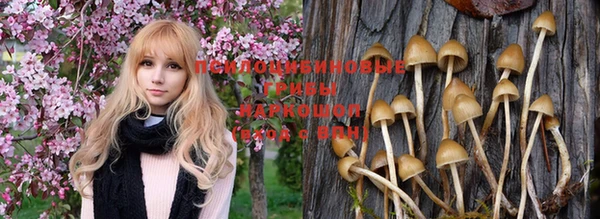 спайс Майский