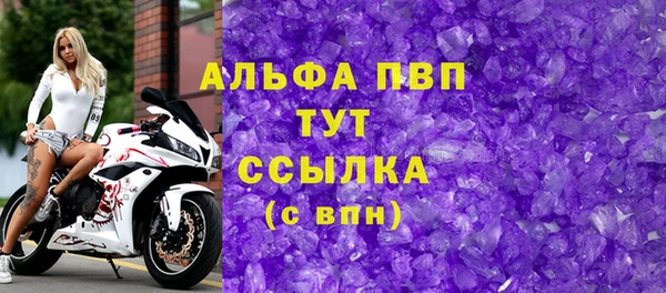 твердый Магас