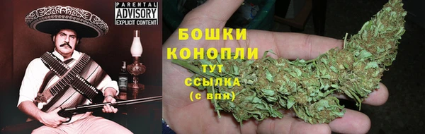 твердый Магас