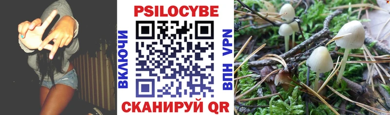 Купить где  Усолье-Сибирское  Галлюциногенные грибы MAGIC MUSHROOMS 